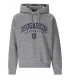 DSQUARED2 COOL FIT MÉLANGE GRAU HOODIE